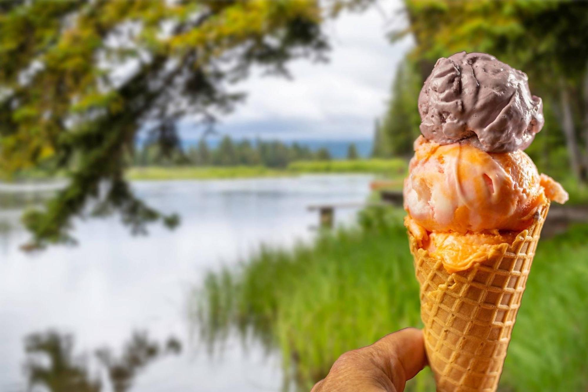 Springhill Suites Island Park Yellowstone Ngoại thất bức ảnh